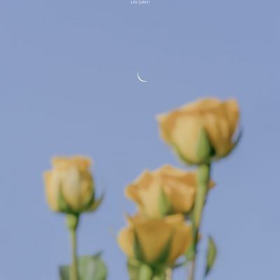 展品预告 + VR互动 | LMI 即将亮...